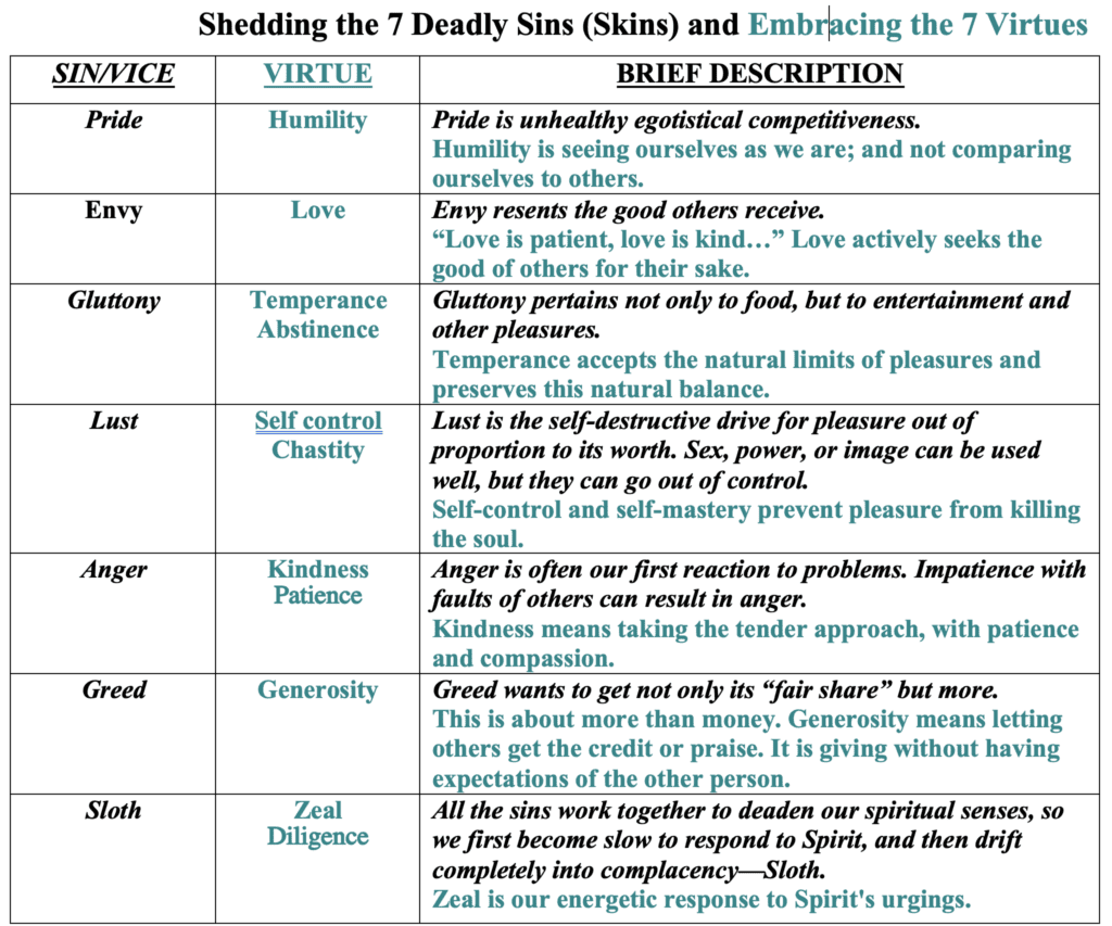Shedding the 7 Deadly Sins (Skins) and Embracing the 7 Virtues